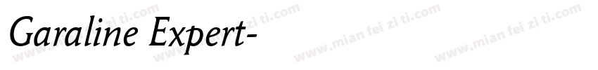 Garaline Expert字体转换